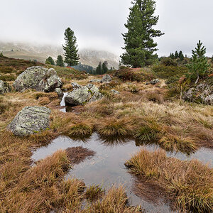 IMG6550 01