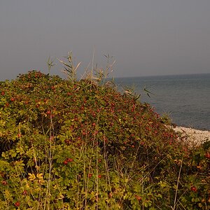 KR DSC 4145