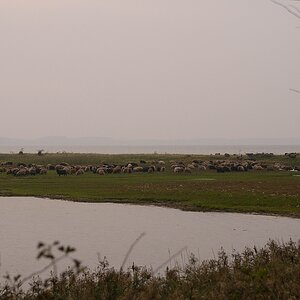 KR DSC 4164