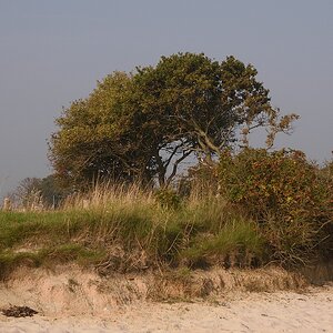 KR DSC 4141