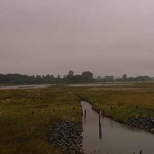 KR DSC 4296