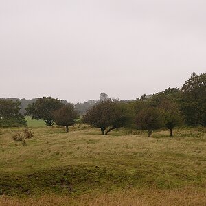 KR DSC 4304
