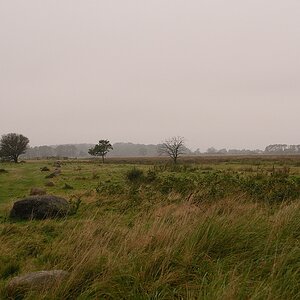 KR DSC 4317