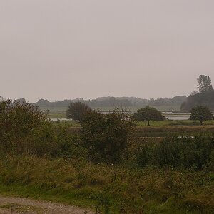 KR DSC 4325