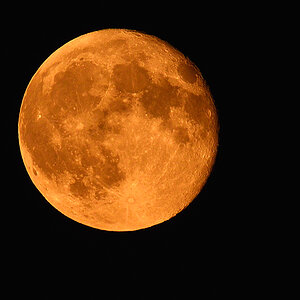 DSC 8313 Vollmond