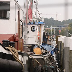 KR DSC 4244