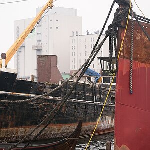 KR DSC 4256