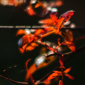 D3H 0190