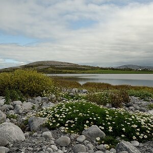 DSC 0783a