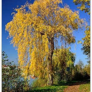 151101-Seeherbst-MNE 0276