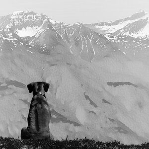 XT140573 Bearbeitet 2