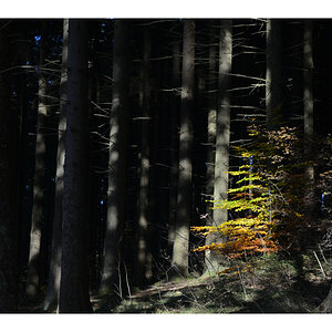 Herbst_01