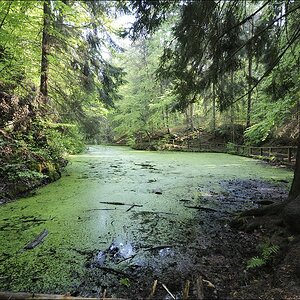 NF-F Treffen Märchensee o5/2oo9 #02