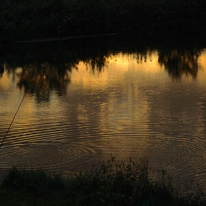 Angler