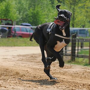 comp NWR Spaßrennen 2456