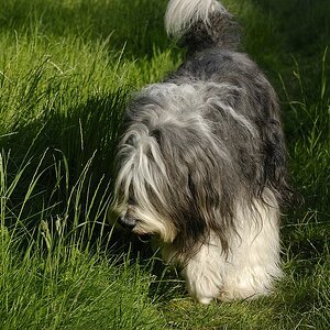 comp  DSC6840