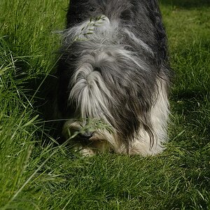 comp  DSC6846