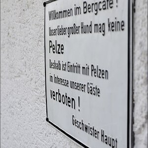 NF-F Treffen Märchensee o5/2oo9 #15