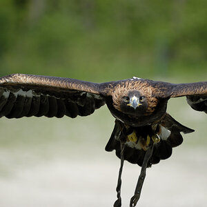 20090424 134752 Hellabrunn 03