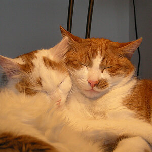 Lizzy und Hruby
