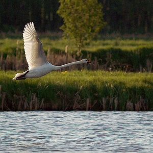 kastenweiher1024