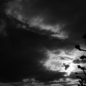 DSC 1133