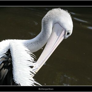Vogelpark 04