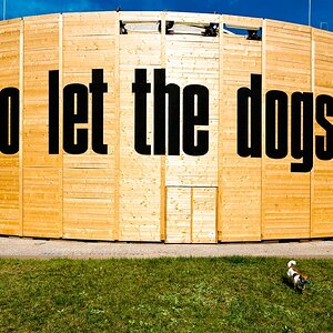 who let the dogs out