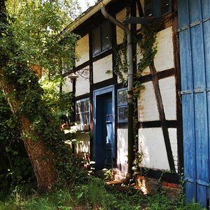 Widderhof