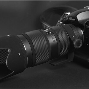 KR DSC 3044 1 SW