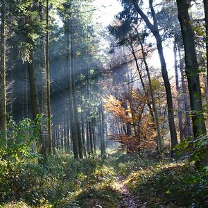 1 DSC 0041