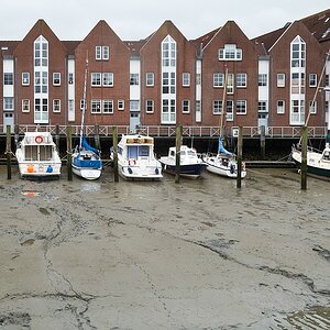 DSCN1593c
