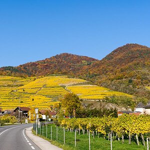 Herbst in der Wachau