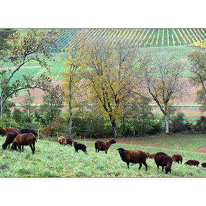 HerbstDSC 6479