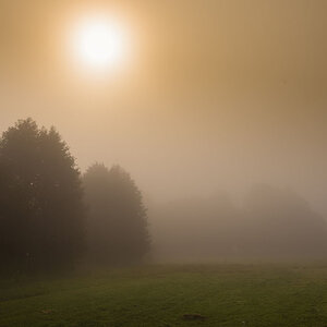 Herbst3001