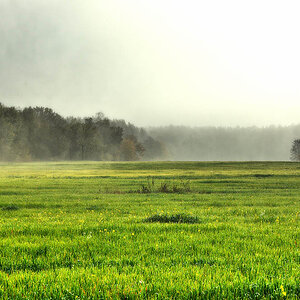 Herbstnebel