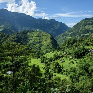 DSC 4235 klein