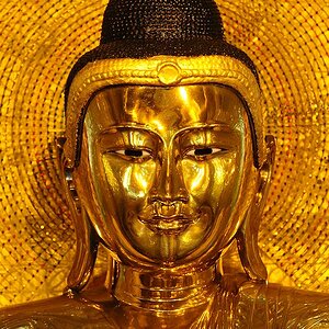 goldener Buddha
7661