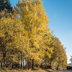 Harz 311015 007