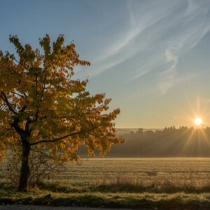 Herbstmorgen