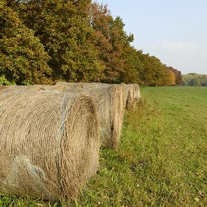 Strohballen im Herbst