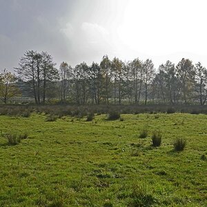 Nach Nebelauflösung