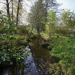 Tarpenbek