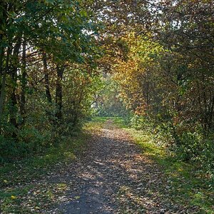 Weg zur Sonne