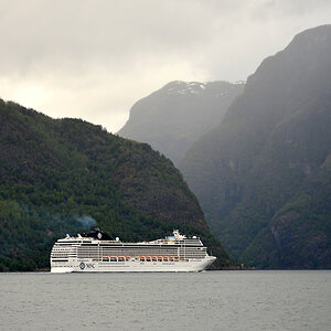 DSC 5650 Schiff
