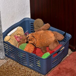 Hundekorb