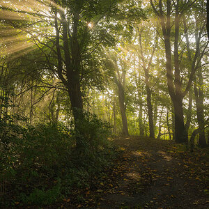 Herbst002