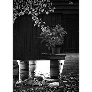 WasserDSC 6487