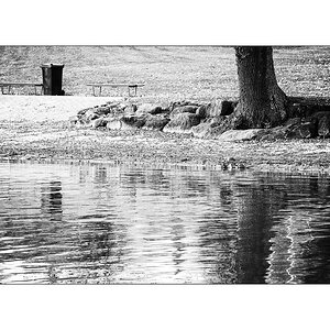 WasserDSC 6499