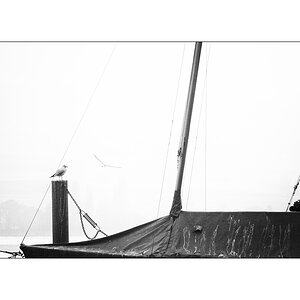 WasserDSC 6505